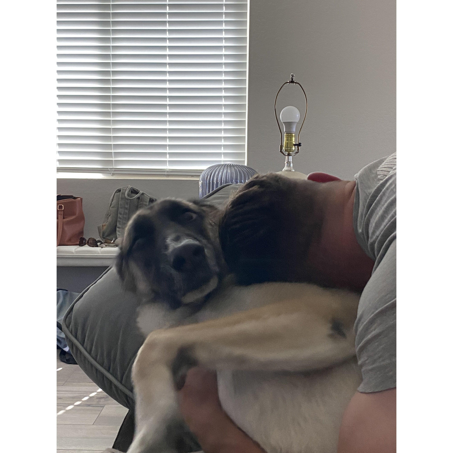 Some Echo love