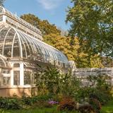 Allan Gardens