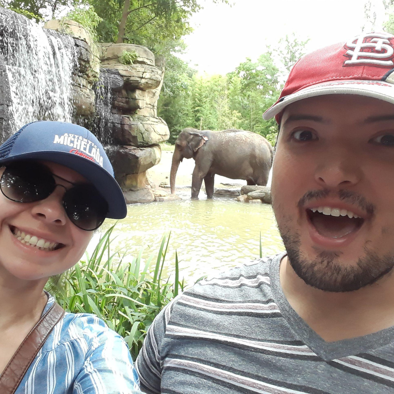 St. Louis Zoo