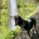 Hikes