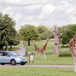 Woburn Safari Park