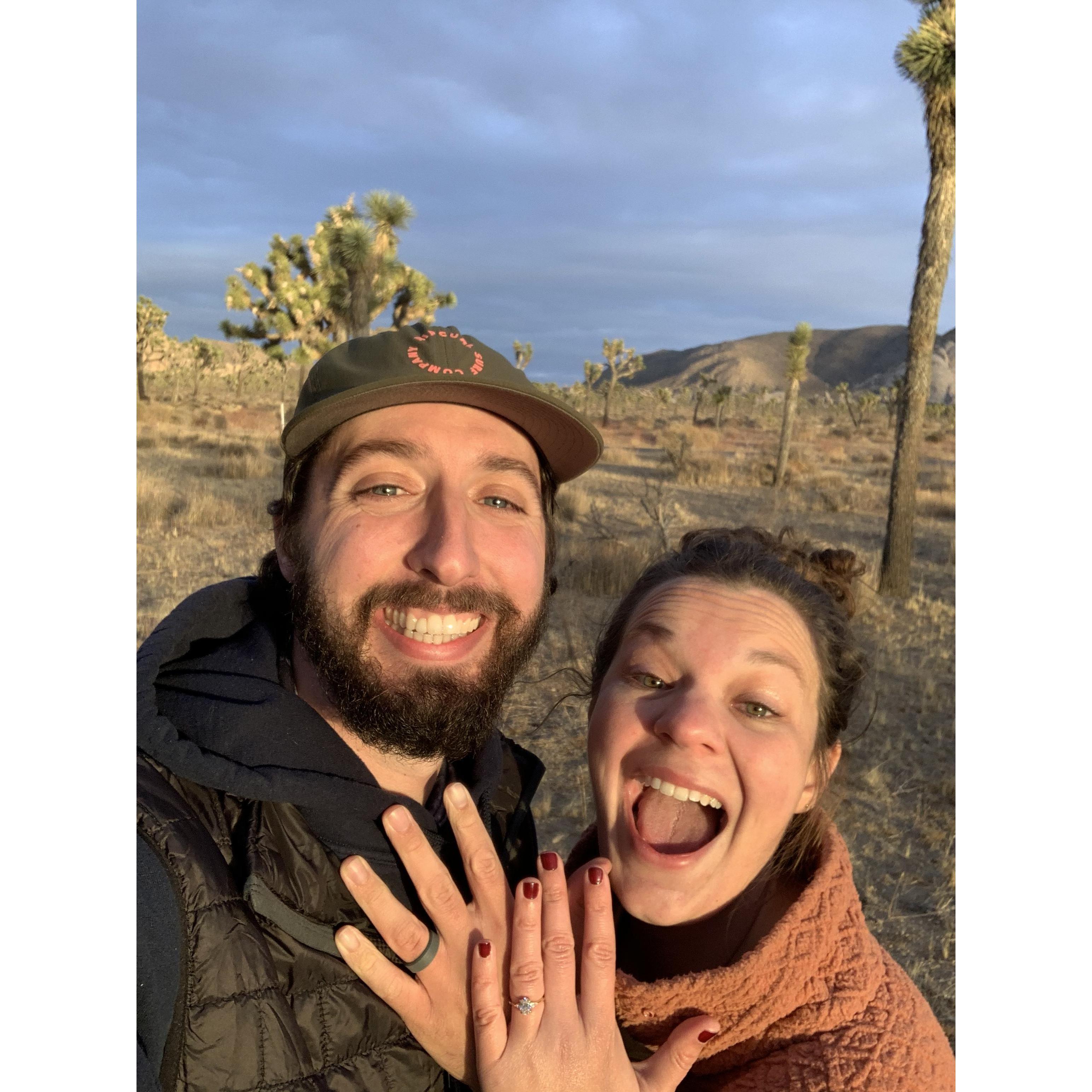 We're engaged! Joshua Tree National Park, December 2021