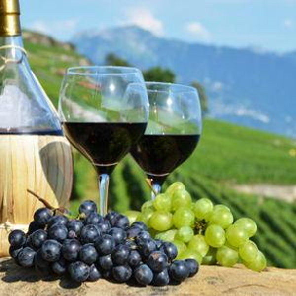Wine Tasting in Tuscany