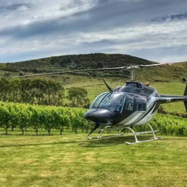 Wine Above the Vines
