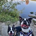 Munter Hiking Trail