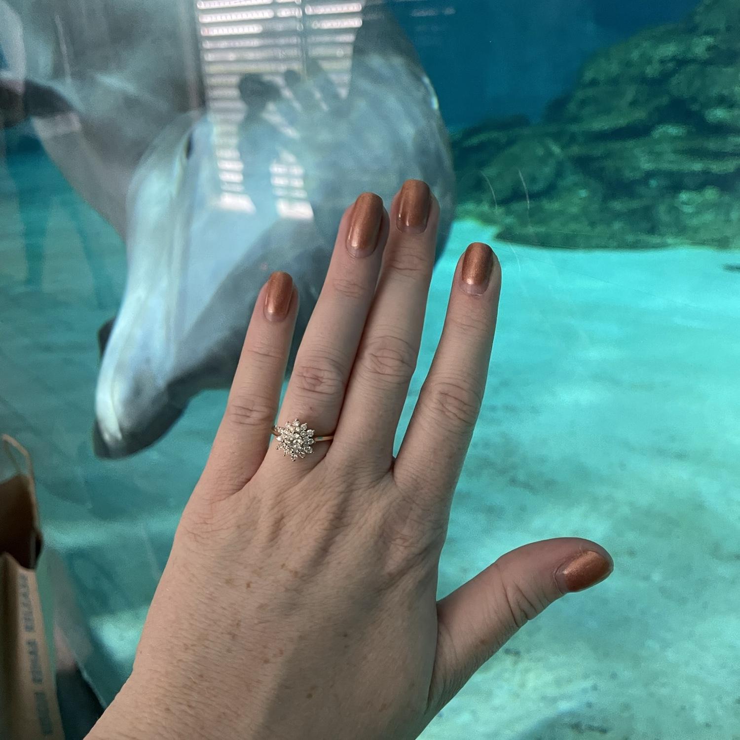 The proposal day 💍