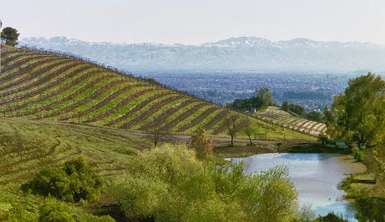 The Wedding Website of Michelle Holloway and Martin Mee