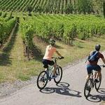 The County Wine Tours