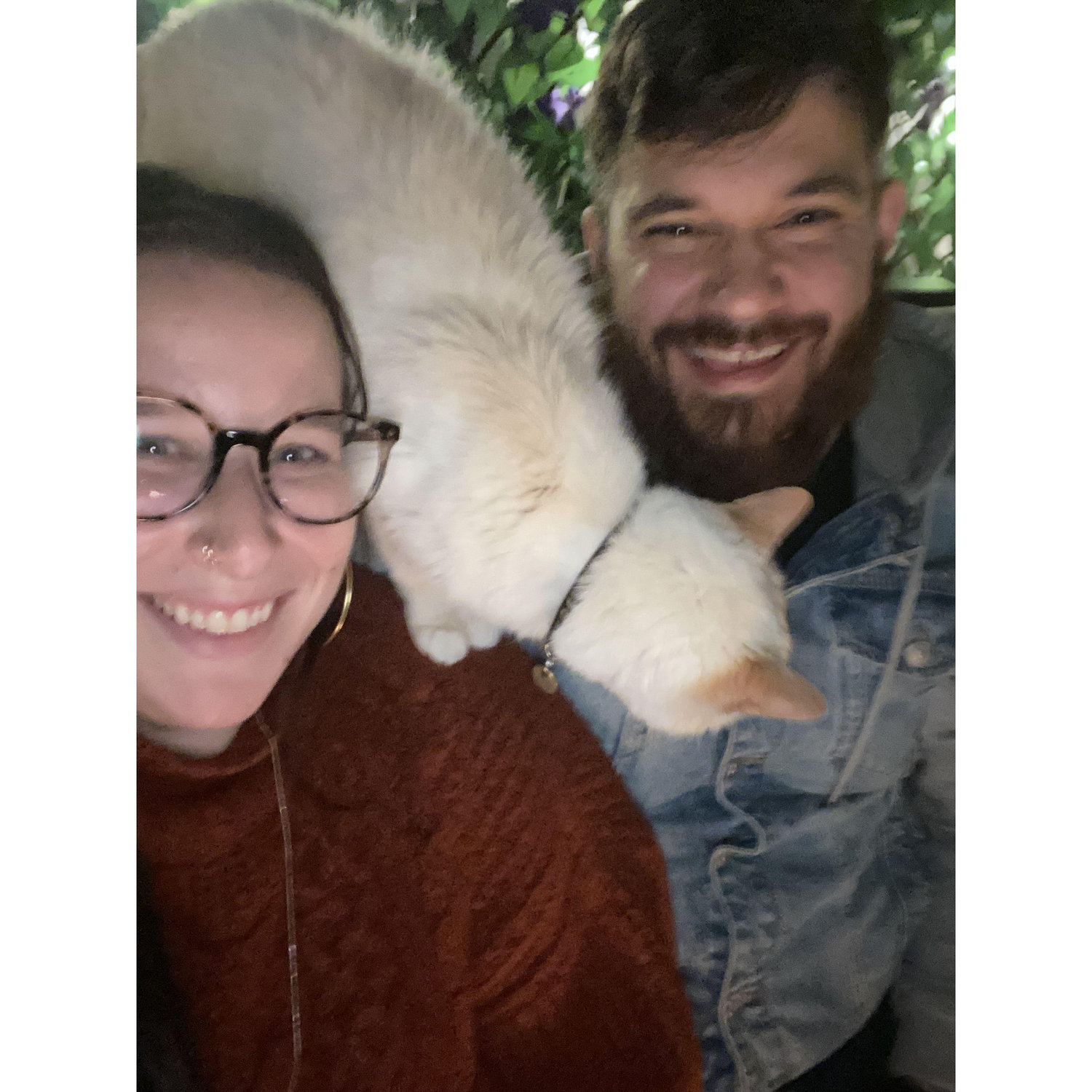 The only cat Emjay and Alex ever loved- Jameson.