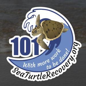 Sea Turtle Recovery