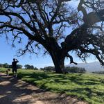 Mt Burdell Hike