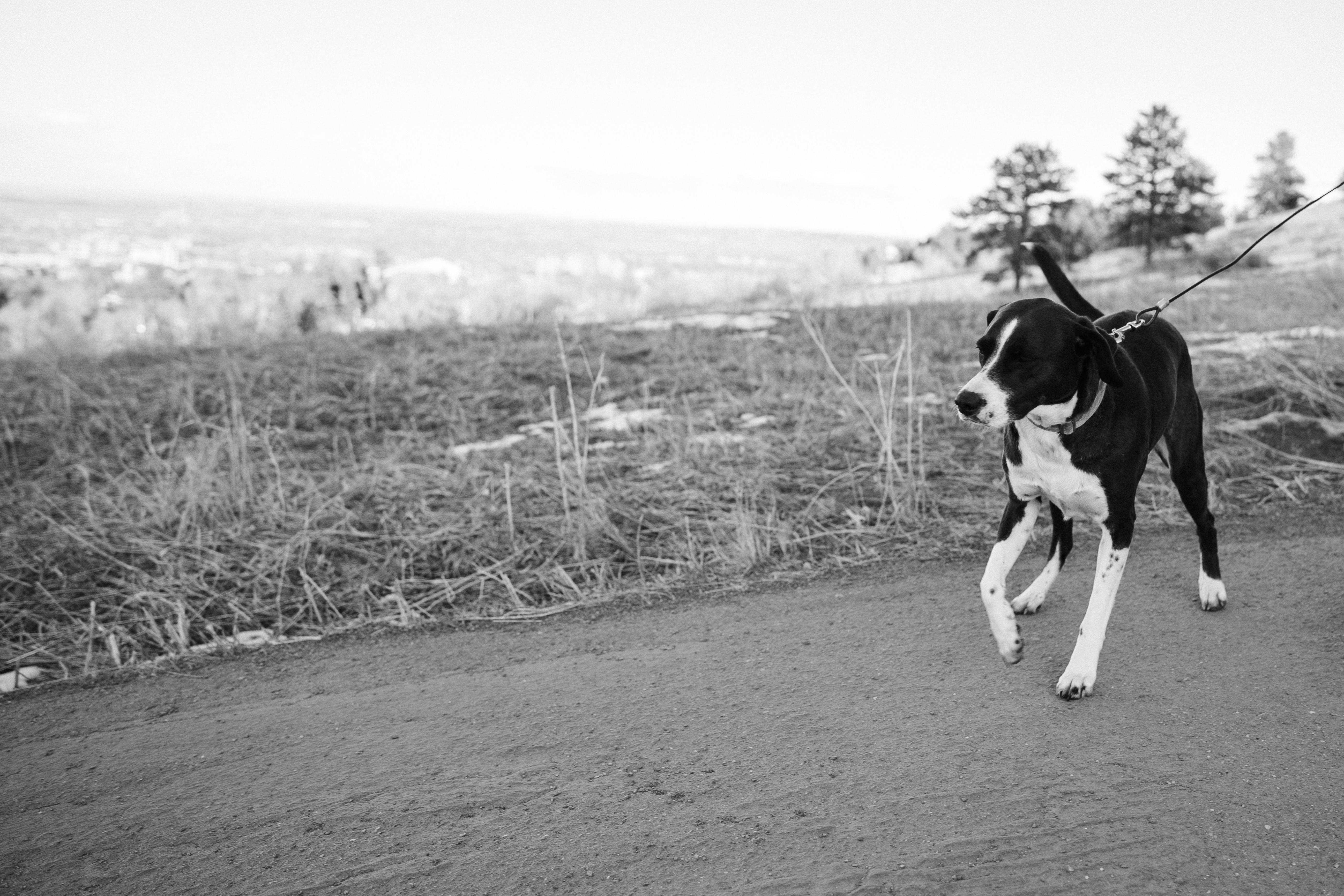 The Wedding Website of Jason Markowitz and Alexandra Kumor