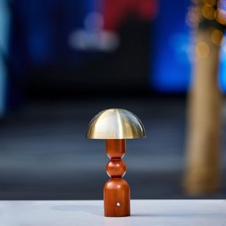 Connie LED Cordless Table Lamp