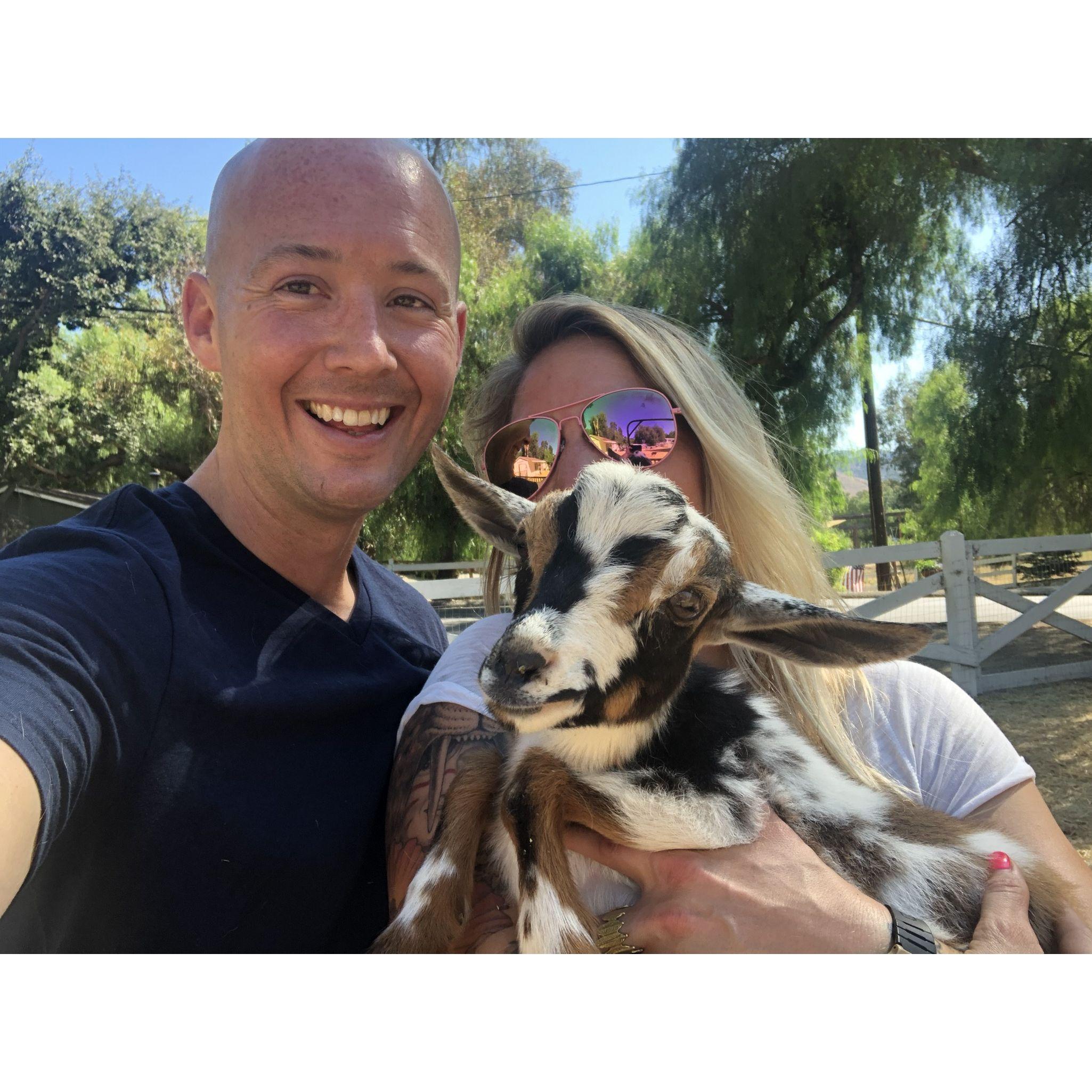 This was during our short-lived foray into talking about owning a goat.