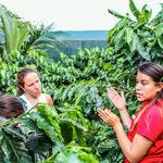 Friday Afternoon - Traditional Coffee and Chocolate Tour
