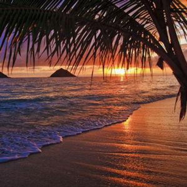 Hawaii Honeymoon Fund