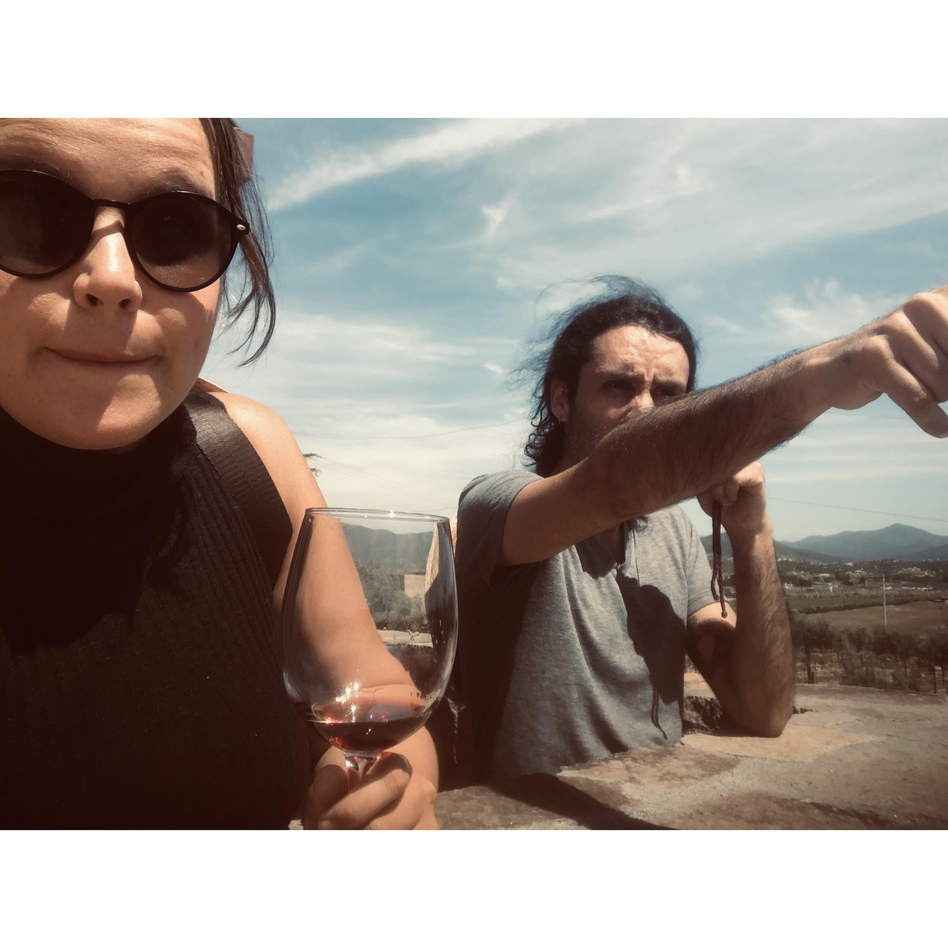 we (mostly crystal) like to drink wine.
