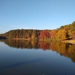 Murphey Candler Park