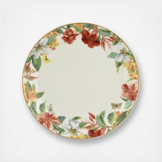 Maui Dinner Plate, Set of 4