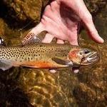 Fishing