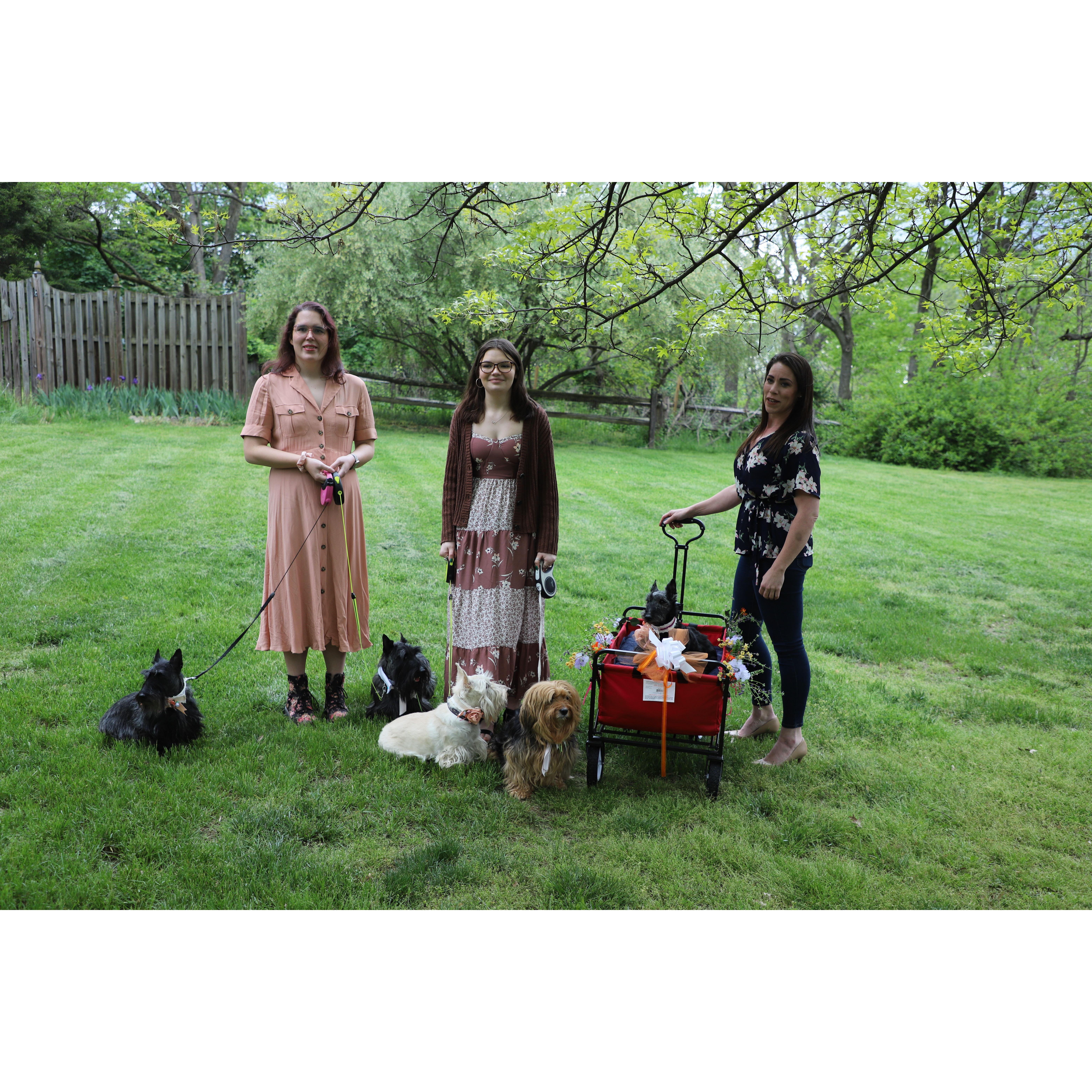 The dog crew: Becky, Brenda, Sebastian, Sara, Emily, D’Jango, Tallie & Lyndsey