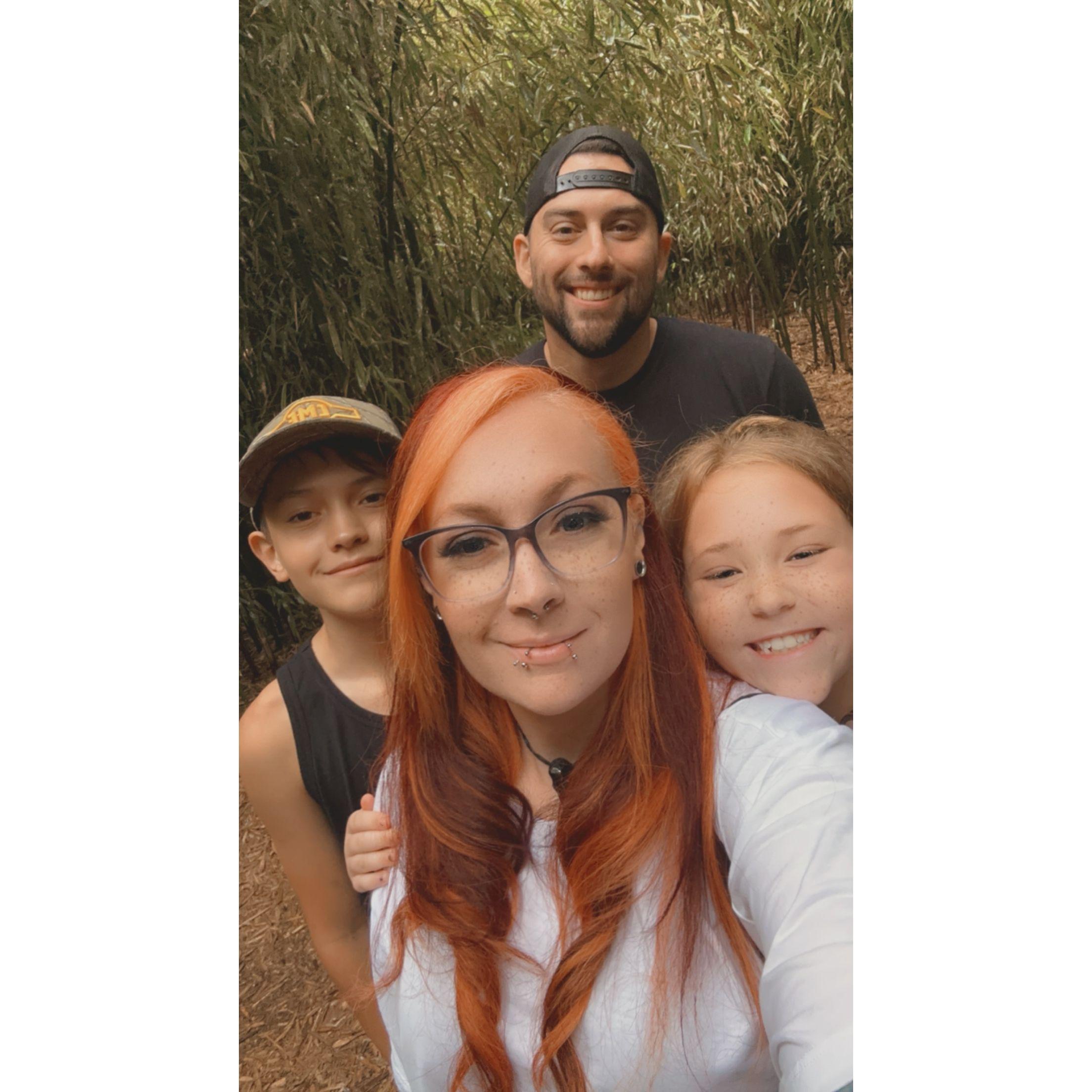 Lost In A Bamboo Forest