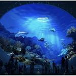 Seattle Aquarium