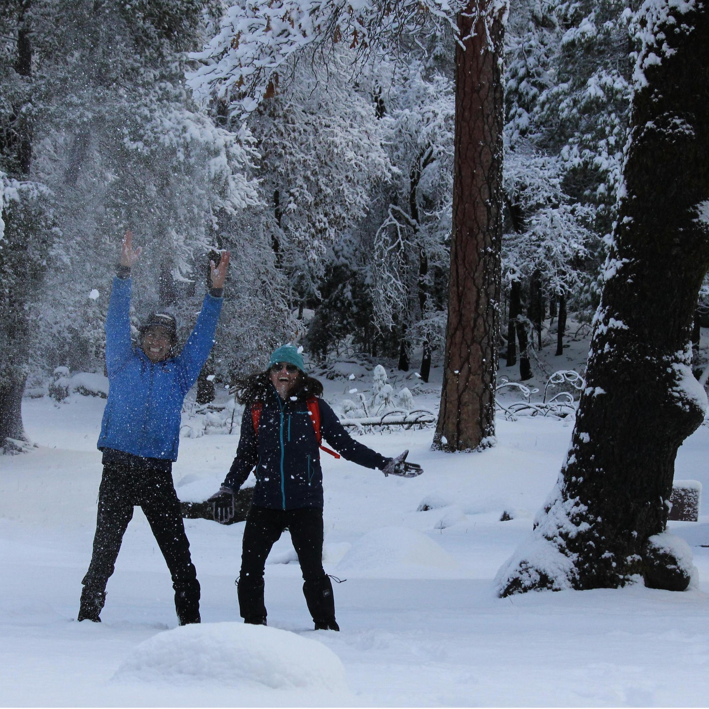Yosemite in the winter