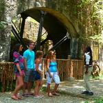 Ultimate Plantation Pass & Adventure Falls