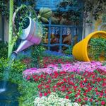 Bellagio Conservatory & Botanical Gardens