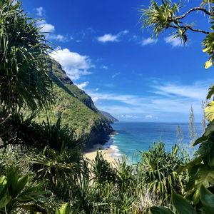 honeymoon fund - hawaii