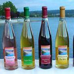Hoodsport Winery