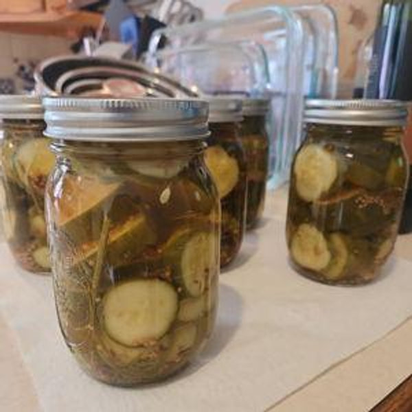 Veggie Garden Fund