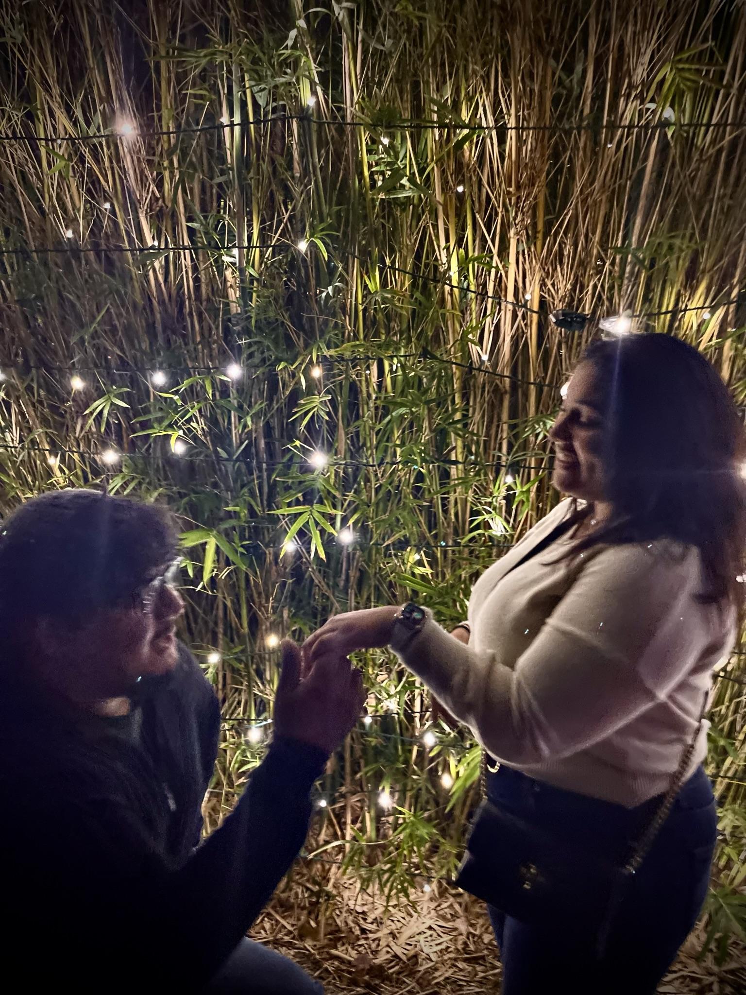 The Wedding Website of Farisha Mohammed and Luis Marin