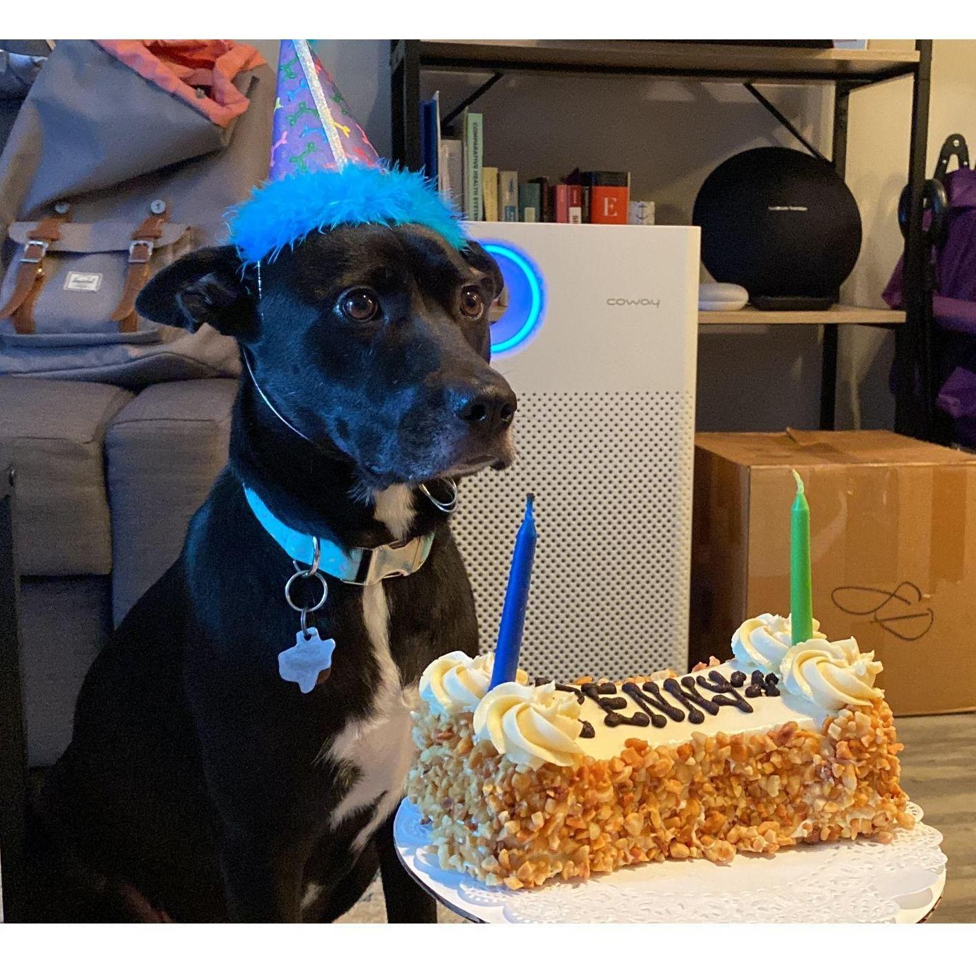 Sep 2021
Penny's 2nd birthday
