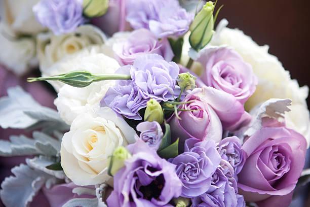 The Wedding Website of Christopher Daniels and Anastasia Karas