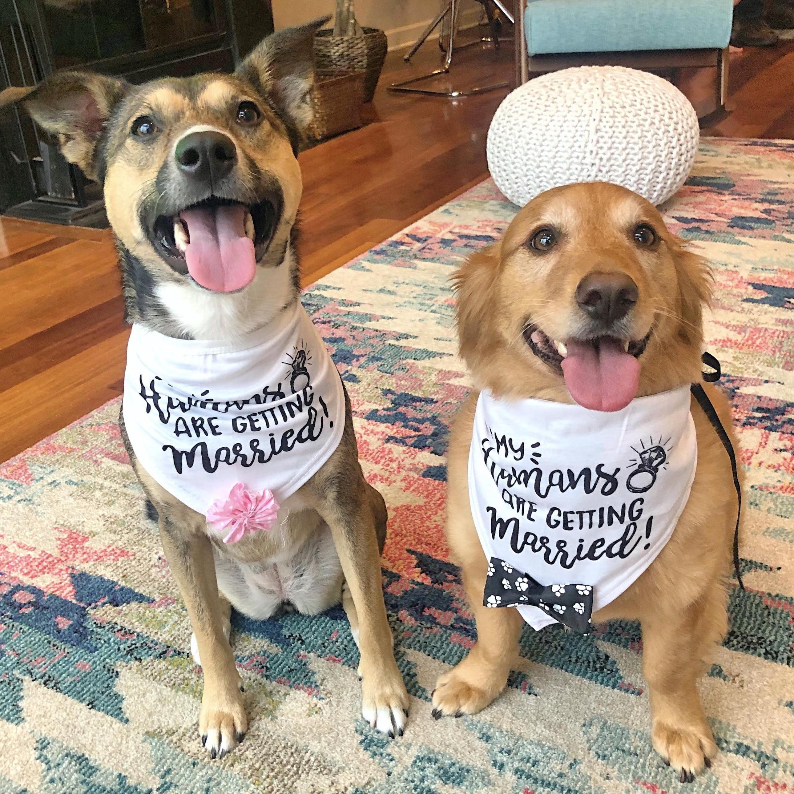 "My humans are getting married!"