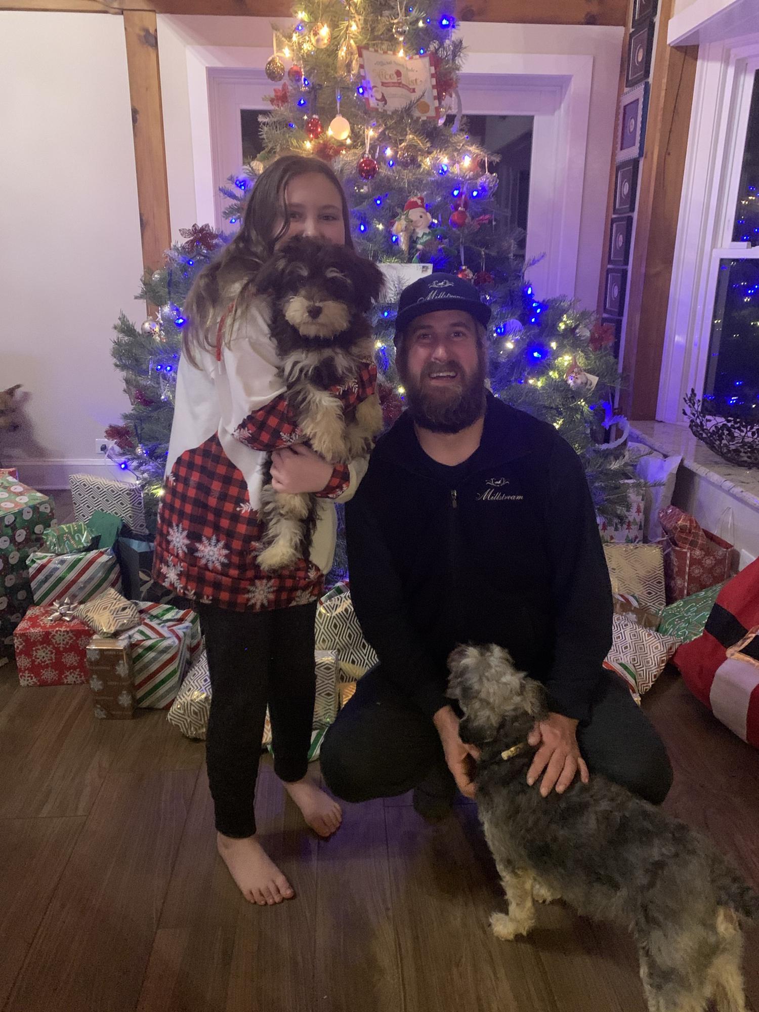 As most blended families to be do, they add new personalities and in our case Wilson was the best present Santa could have brought Harper!! What’s adding one more dog when you have 4 already!!