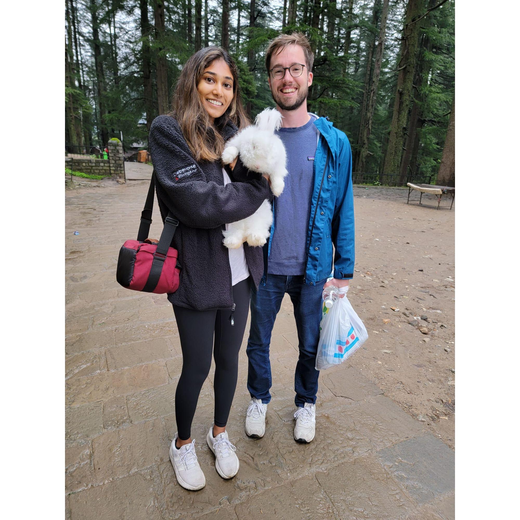 With an Angora rabbit in Manali, India (August 2022)