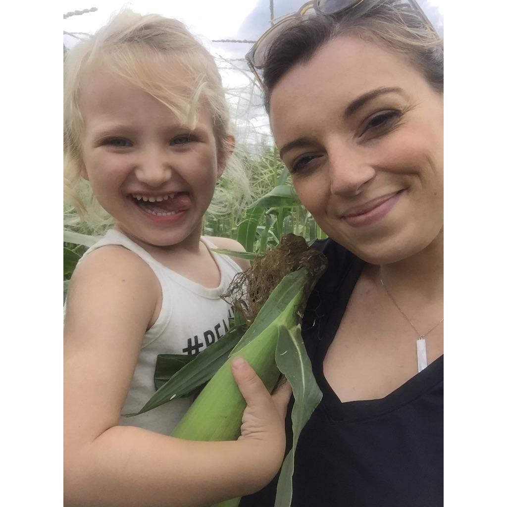 Picking corn with August.