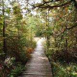 The Ridges Sanctuary Nature Center
