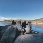 Pinecrest Lake Loop (3.8 miles)