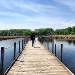 Wood Lake Nature Center