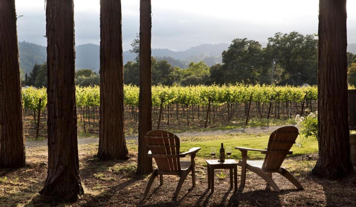 The Wedding Website of Morgan Castanet and DJ Garner