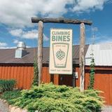 Climbing Bines Hop Farm & Brewery