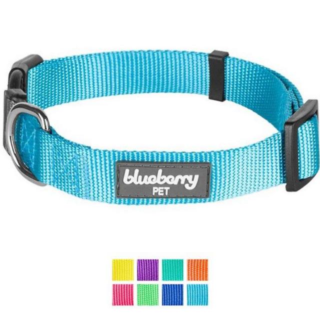 BLUEBERRY PET Classic Solid Nylon Dog Collar, Turquoise, Small: 12 to 16-in neck, 5/8-in wide - Chewy.com