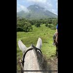 Horseback Riding