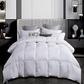 300-Thread Count Down Comforter