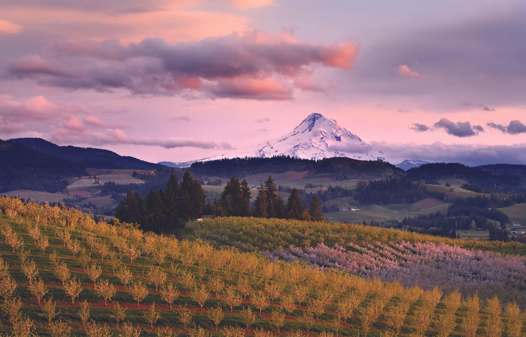 The Wedding Website of Emmilee Henderson and Richard Villarreal