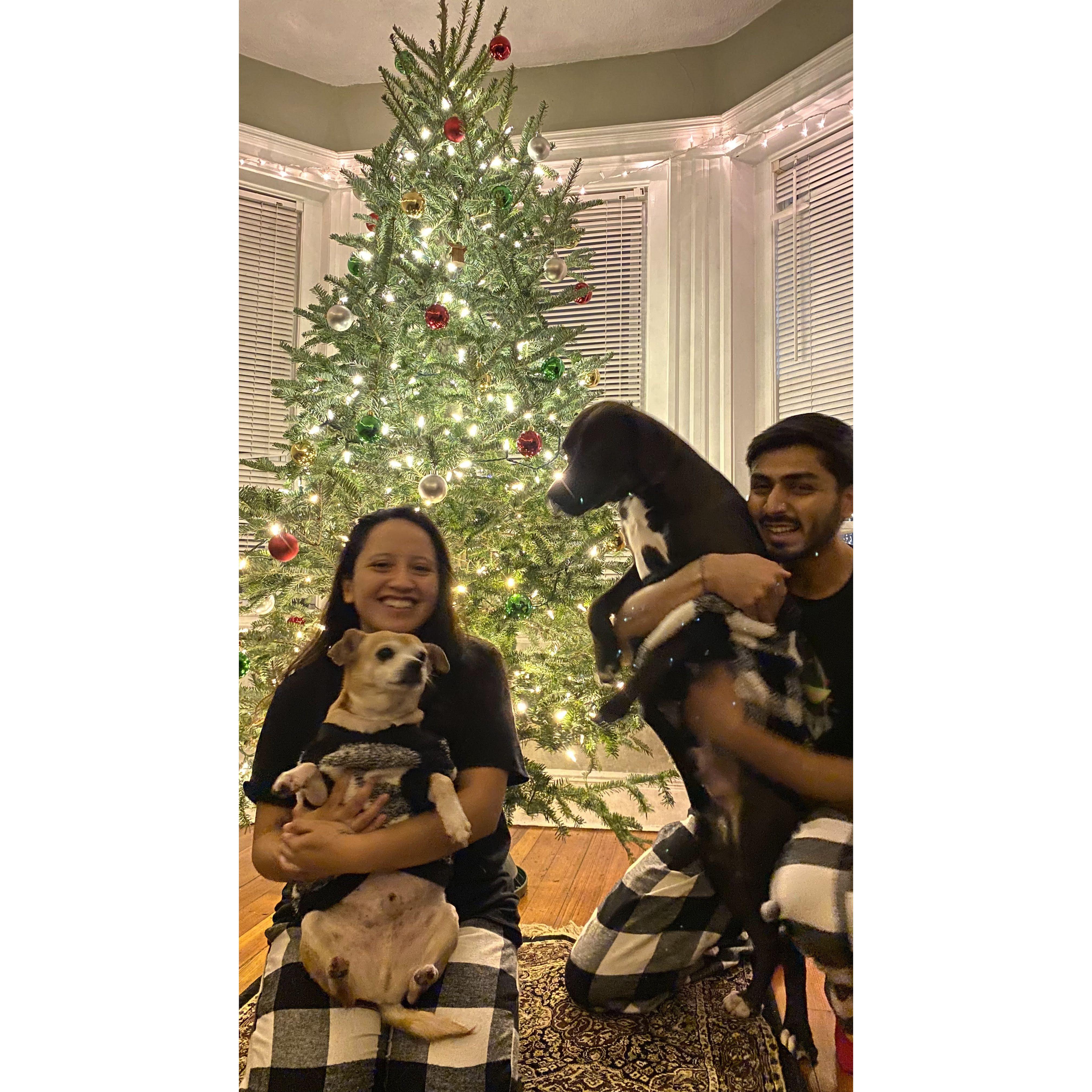 Firsy Christmas together in our Boston apartment.